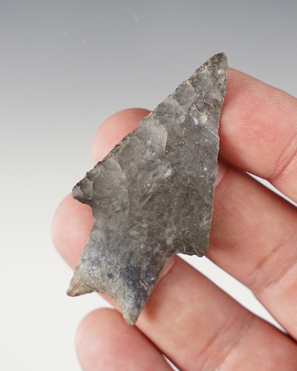 2 7/16" Texas Pedernales in excellent condition.