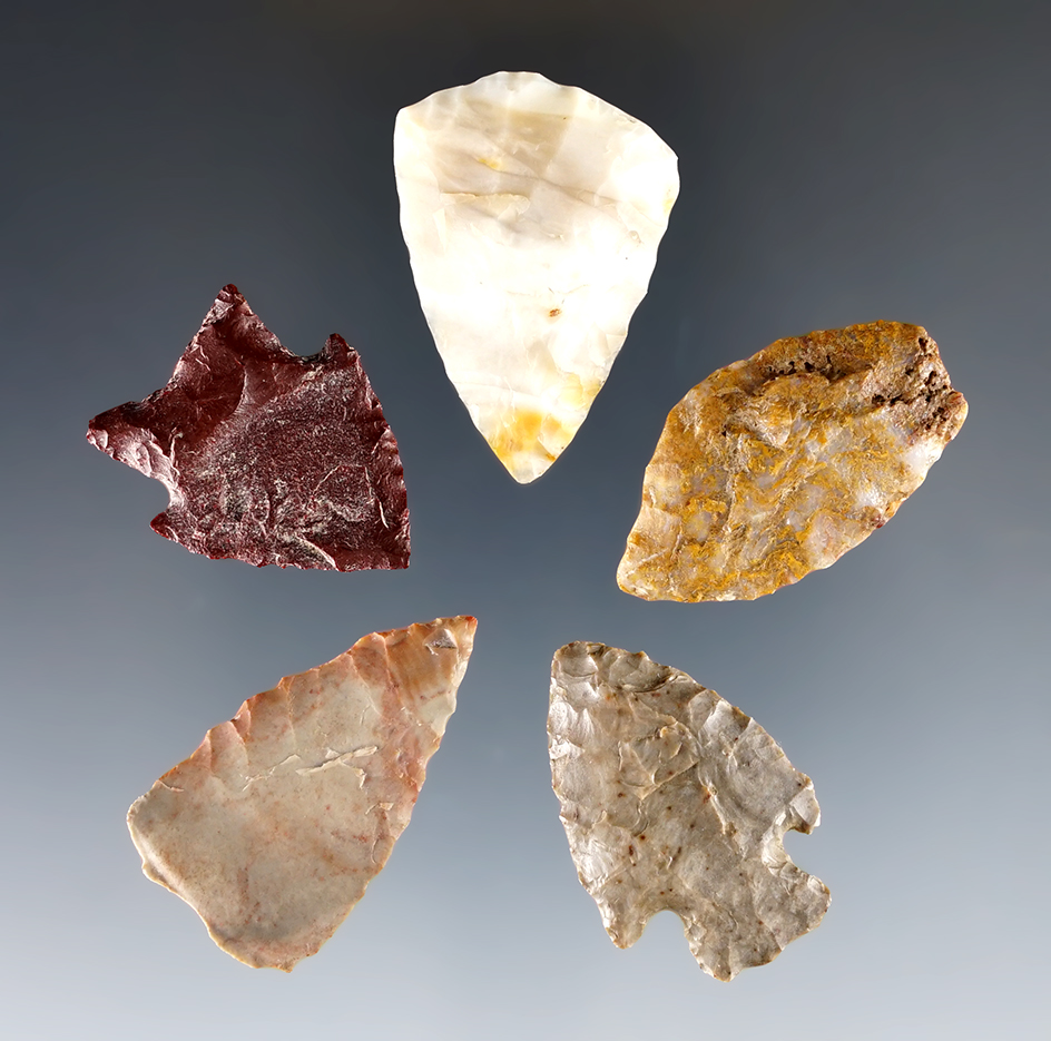 5 Columbia River points in nice condition. Largest is 1 15/16". Ex. Frank Wilkie Museum. 