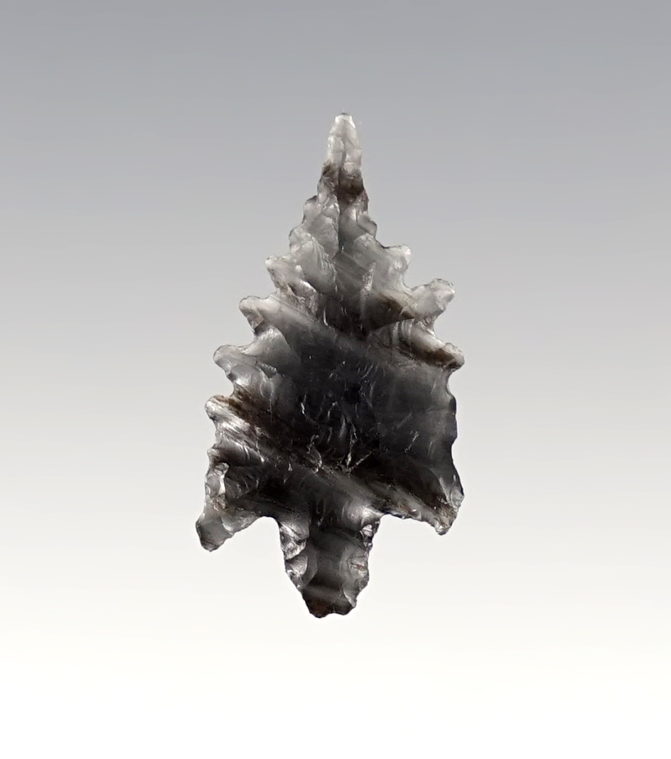 15/16" Obsidian Calapooya that is nicely serrated. Found in Oregon.