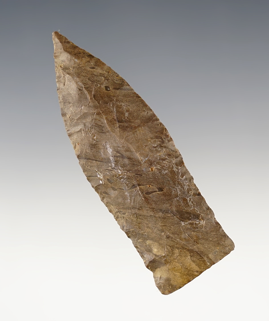 Well styled 2 15/16" Copena found in Tennessee.