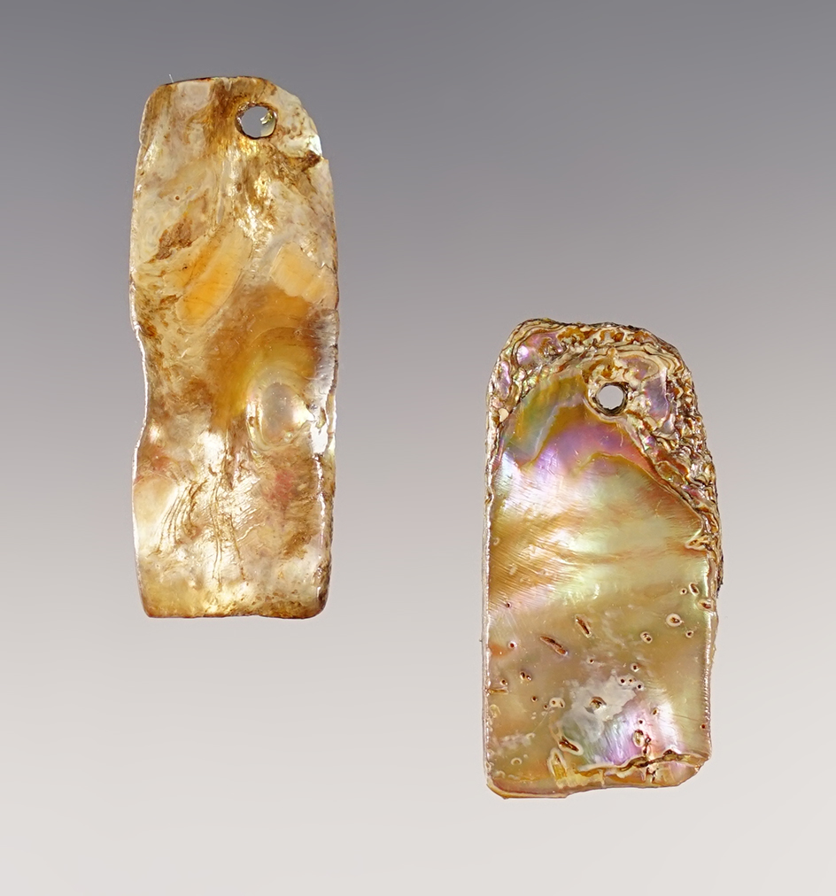 Pair of beautiful drilled shell ornaments, largest is 1 9/16". Recovered in Colusa Co., California. 