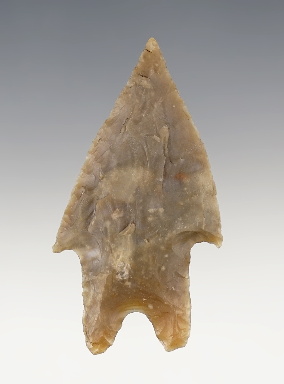 Nice 2 7/16" Texas Pedernales in excellent condition. Comes with a Bennett COA.