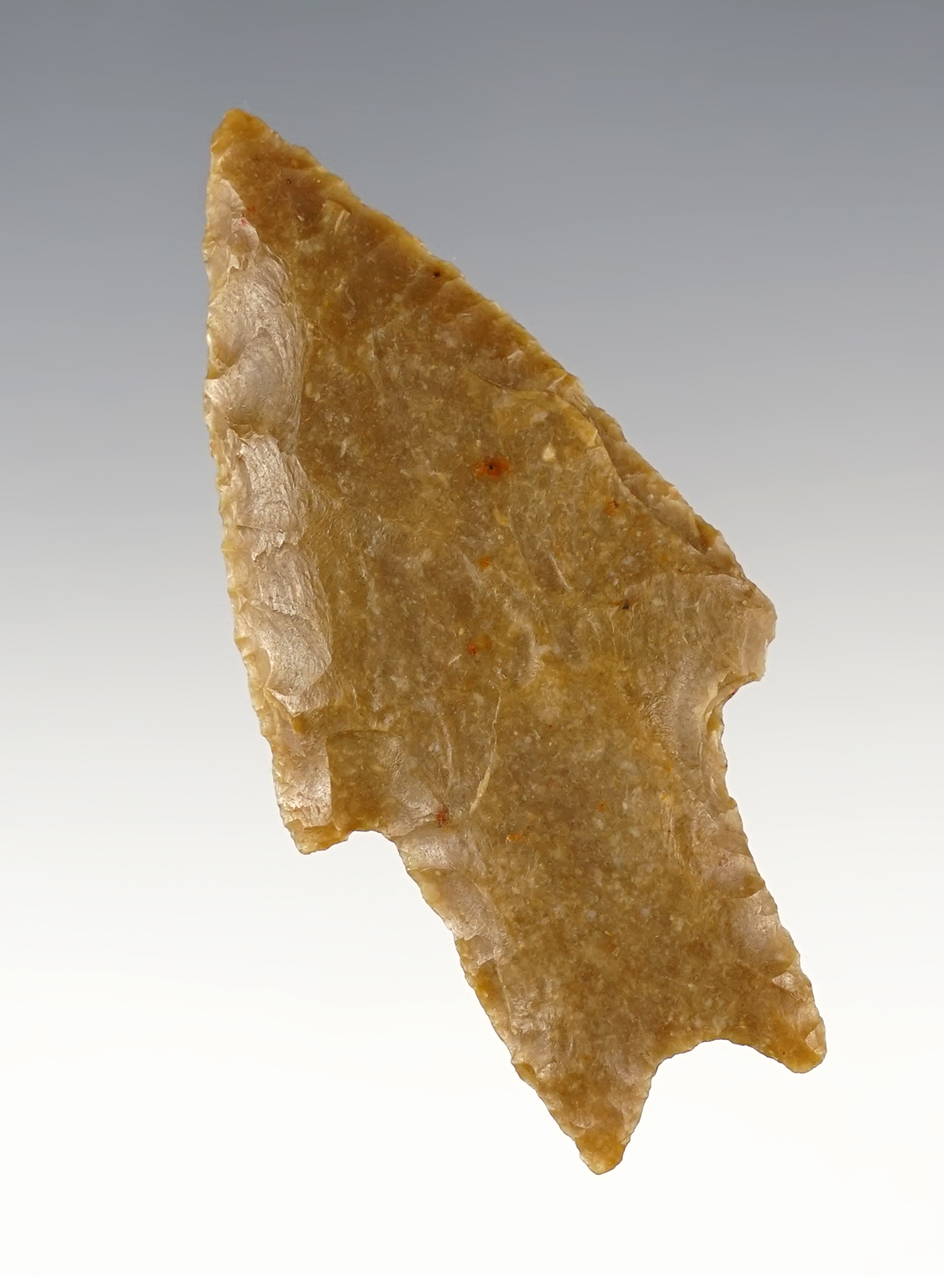 Unique 2 9/16" Texas Pedernales - anciently salvaged from a Clovis. Ex. Perino. COA.