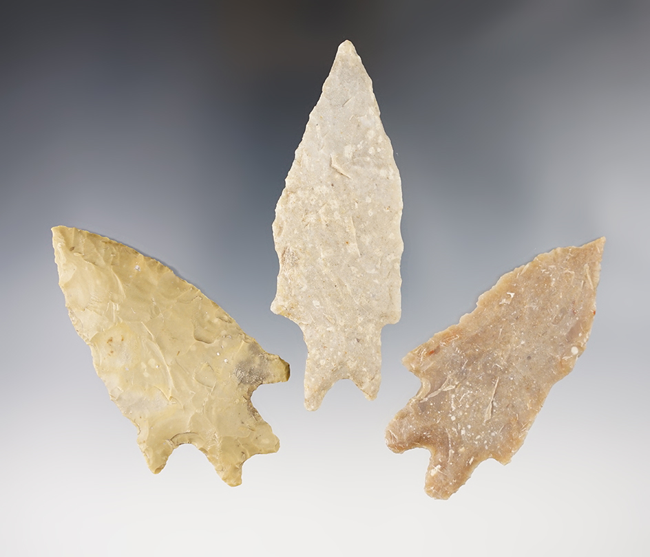 Three Pedernales Points found in Texas in good condition. Largest is 3 1/2".