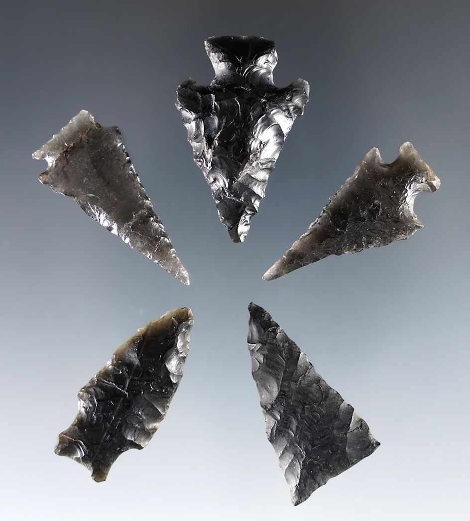 5 obsidian points in very nice condition found in southeast Oregon. Ex. Frank Wilkie Museum. 
