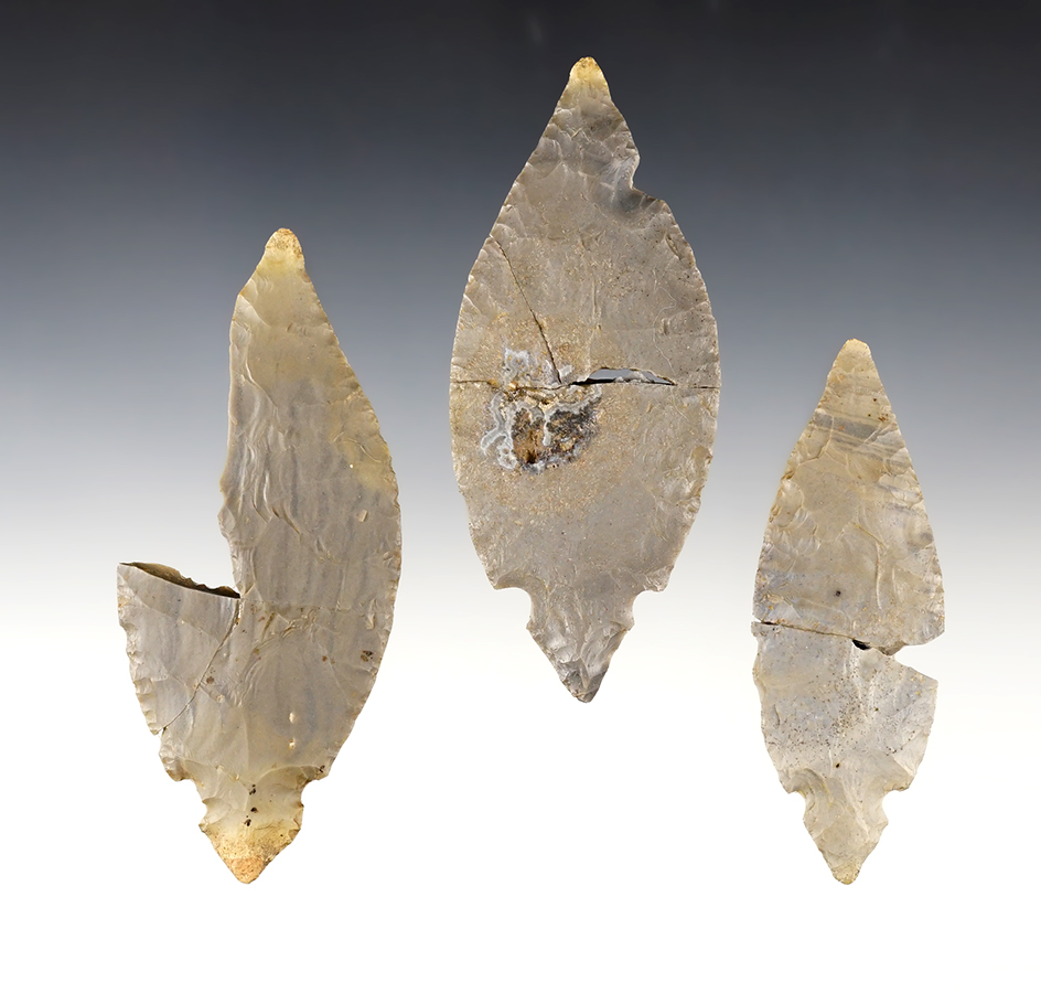 Cache of 3 Turkeytail points - Bourbon Co., Kentucky. All have been "killed" and glued.