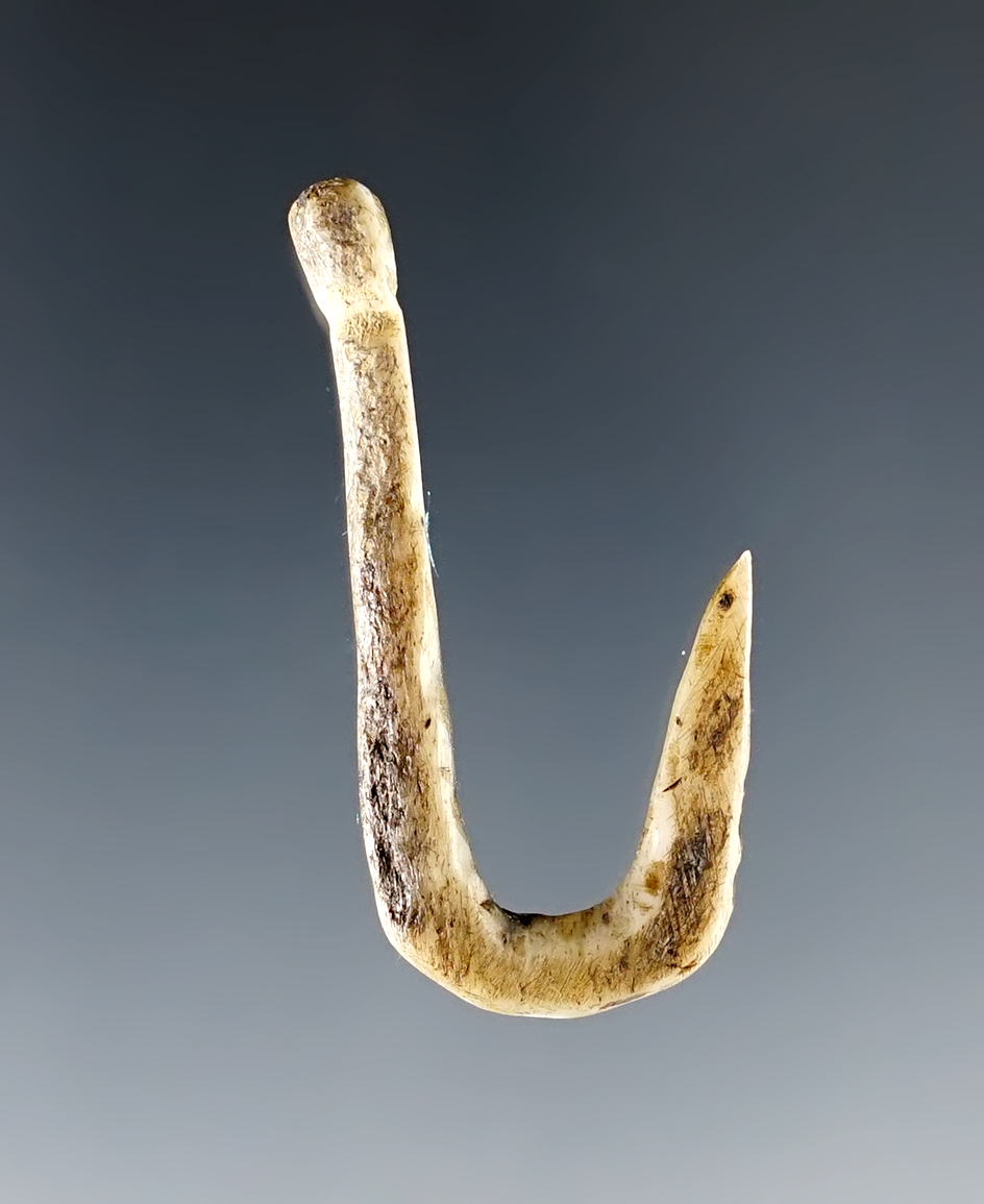 1 5/8" Fort Ancient bone fishhook - Feurt Village Site, Ohio, by Dr. Copeland. Bennett COA. 