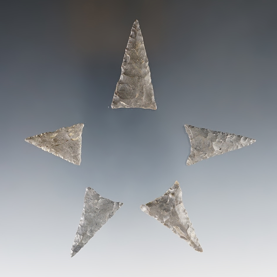 Set of five well styled Mississippian Triangle Points - Genoa Fort site, Cayuga Co., NY.