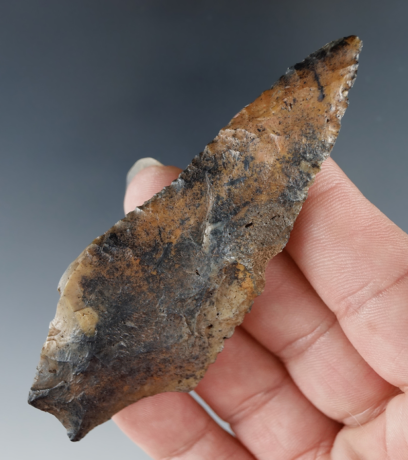 Beautiful colored material on this 3 5/16" Hardee type from an old North Florida collection.