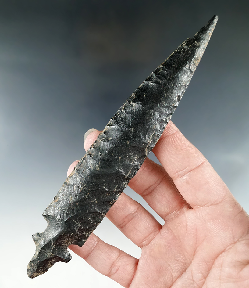 Very unique basal style! Large, 6 1/4" Pre-Columbian obsidian Stemmed point/Knife - West Mexico.