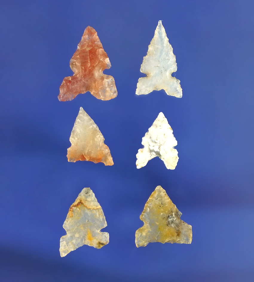 Set of six sidenotch arrowheads, largest is 9/16". California.