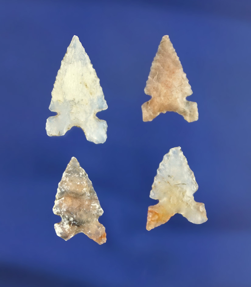 Set of four Desert Side Notched arrowheads, largest is 15/16". California.