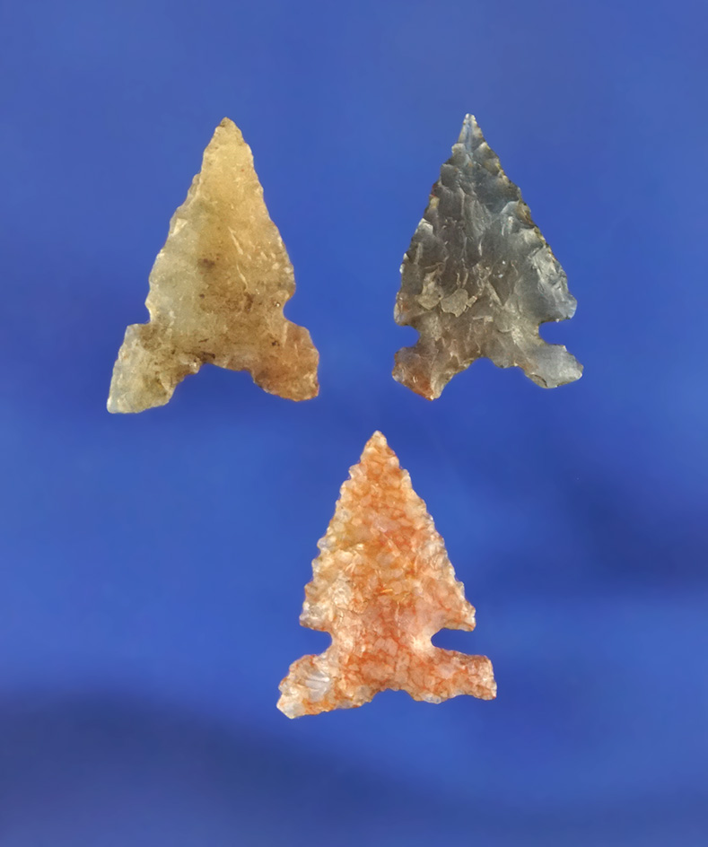 Set of three Desert Sierra arrowheads, largest is 3/4". California.