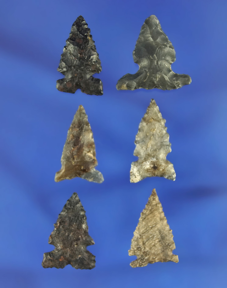 Set of 6 sidenotch arrowheads found in northern California, largest is 3/4".