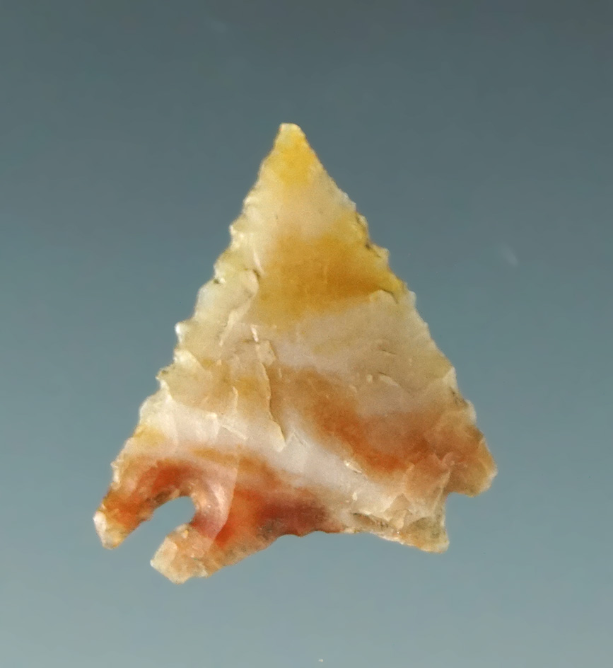 Excellent micro-serrations on this 7/8"point made from red, white and gold Flint California.