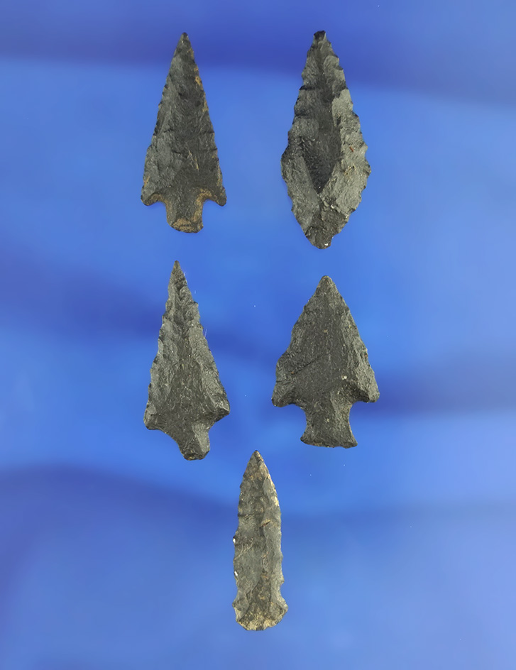 Set of five nicely crafted arrowheads made from Basalt, largest is 1 3/16". California.