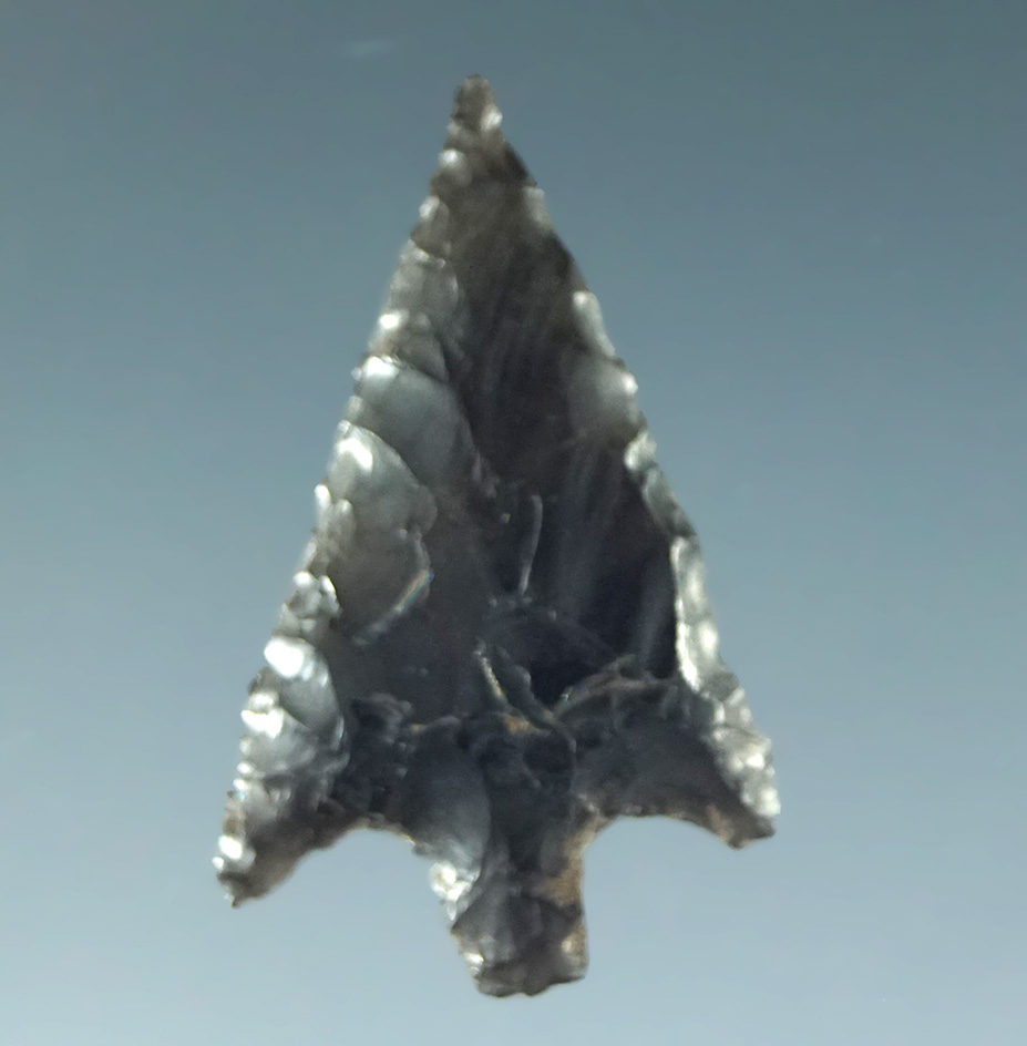 1" very thin Rose Spring made off a flake of obsidian. California.