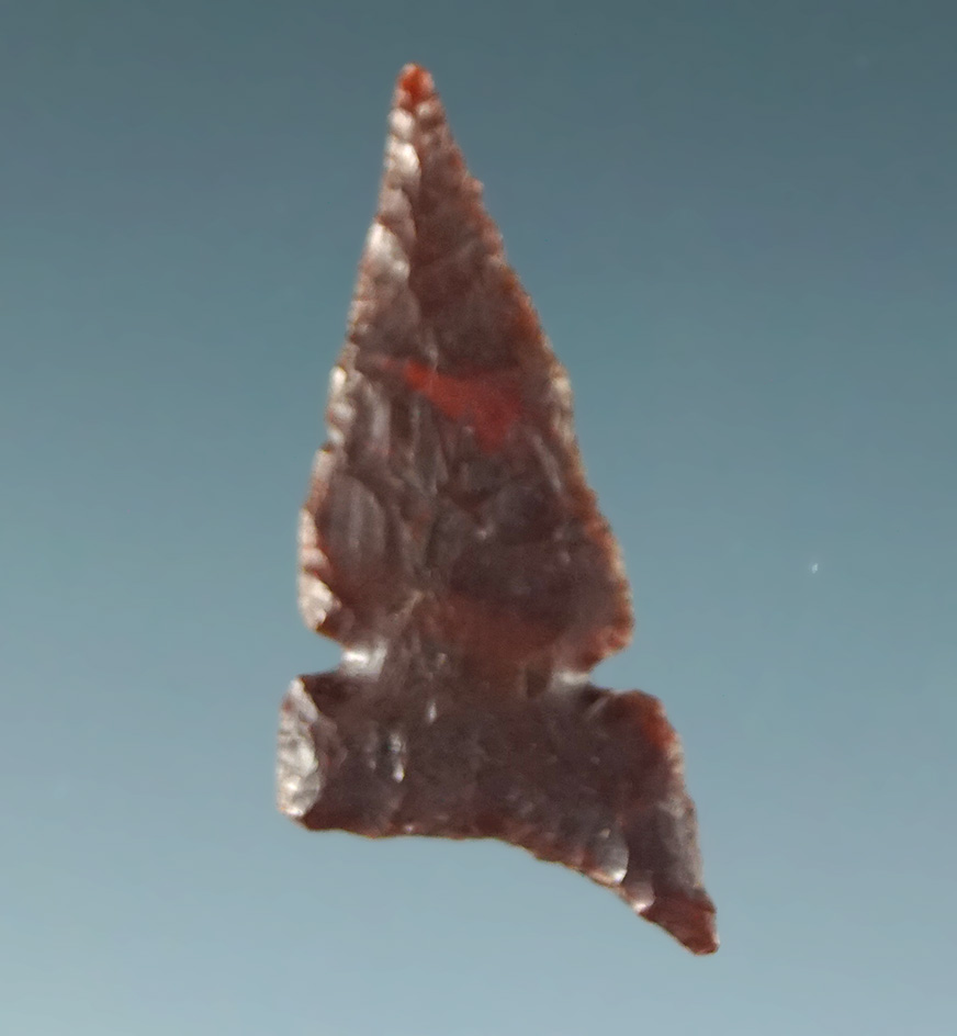 7/8" Desert Delta "Fox Ear" variety that is nicely flaked from Brown Jasper. California.