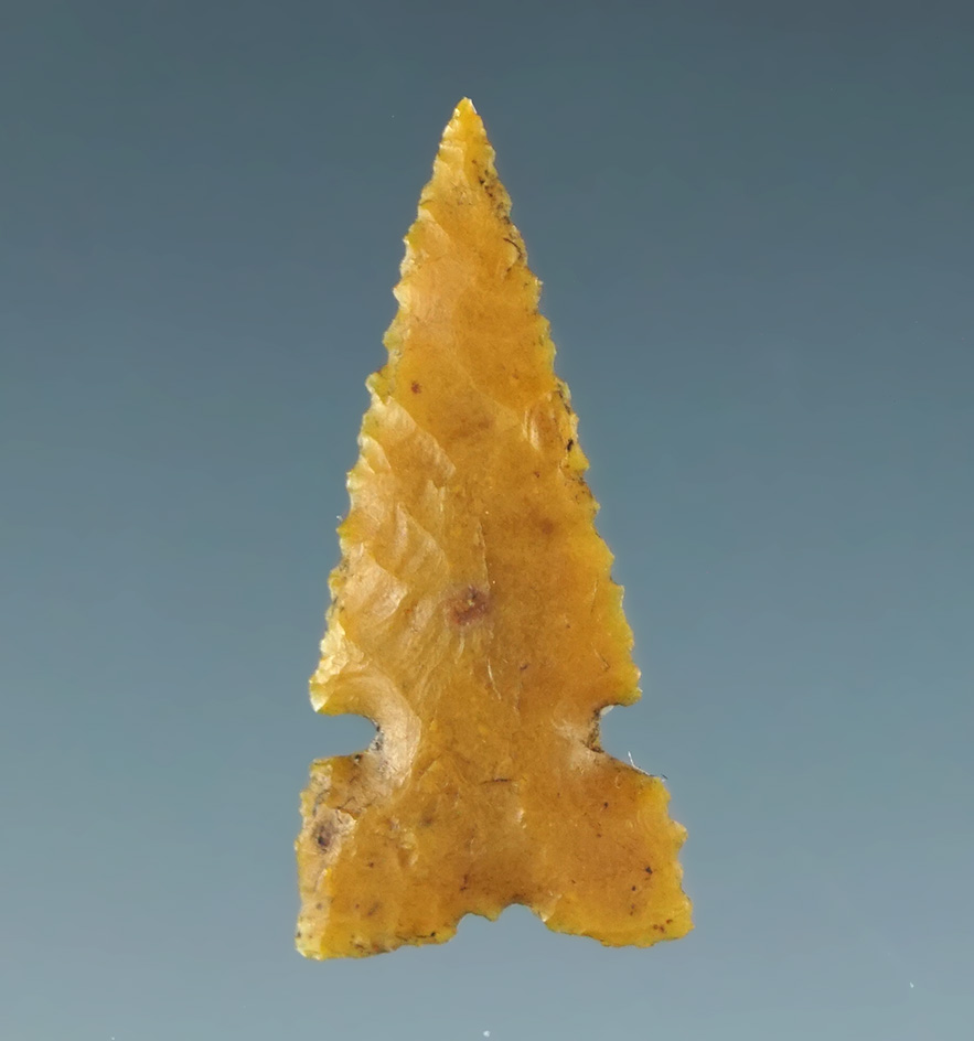 13/16"  Desert Sierra made from yellow Jasper with nice micro-serrations along edges. CA.