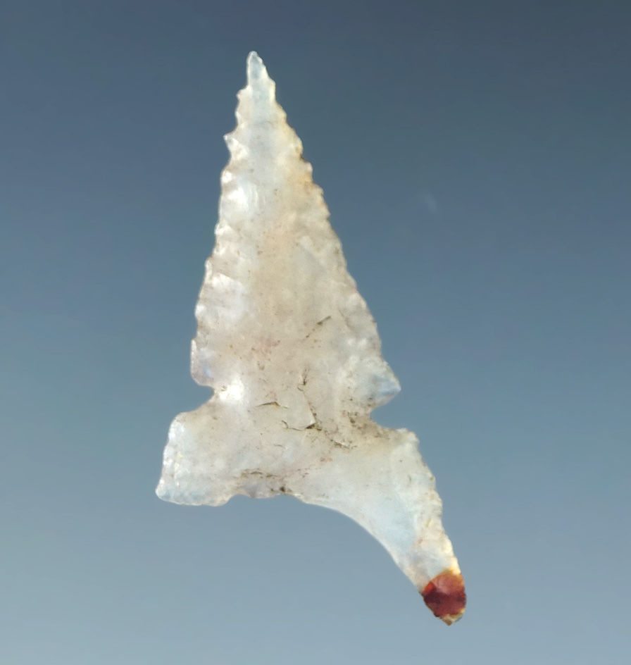 Very unique long basal ear on this 1 1/16" Desert Delta "Fox Ear" variety - clear agate. CA.