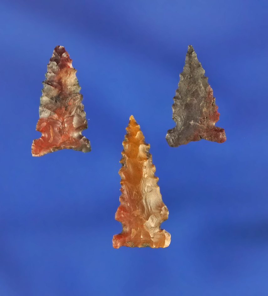 Set of three delicate and nicely flaked arrowheads found in northern California.