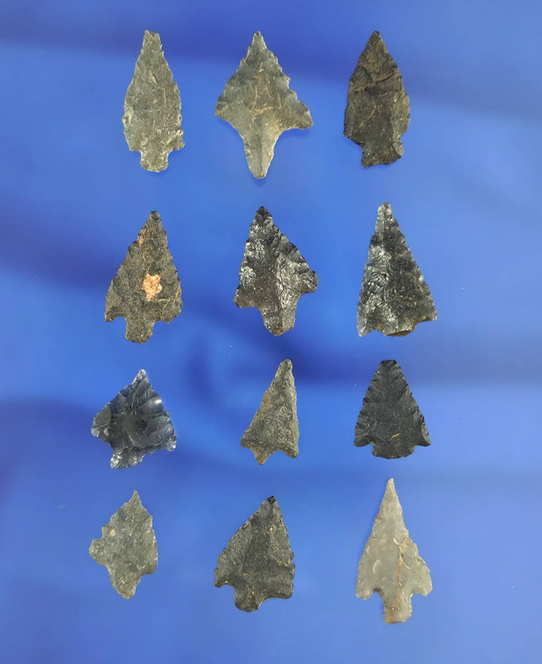 Large group of 12 assorted arrowheads, largest is 7/8". California.