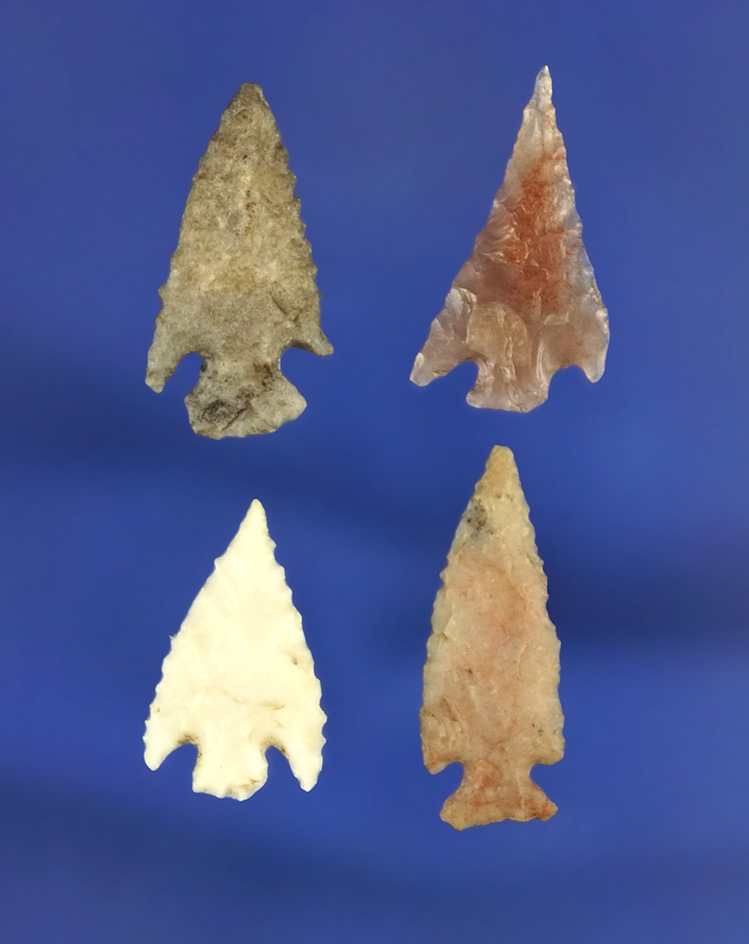 Set of four assorted arrowheads, largest is 7/8". California.
