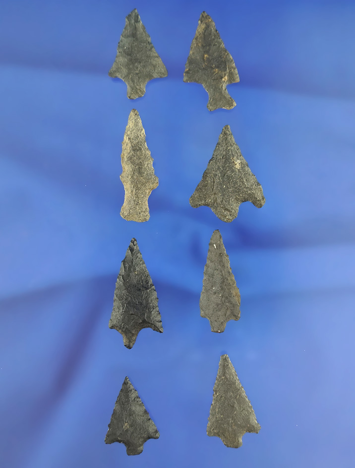 Set of 8 arrowheads that are nicely crafted from basalt, largest is 1 1/4". California.