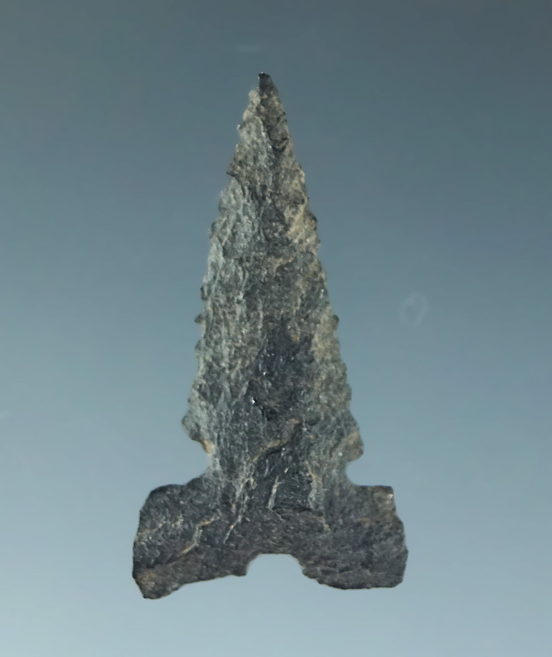 1" Desert Sierra in excellent condition. California.