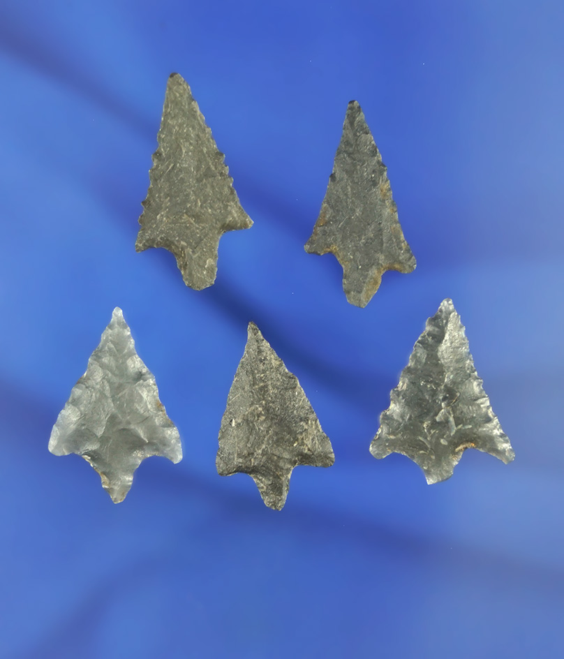 Set of five arrowheads which were nicely crafted from basalt, largest is 1". California.