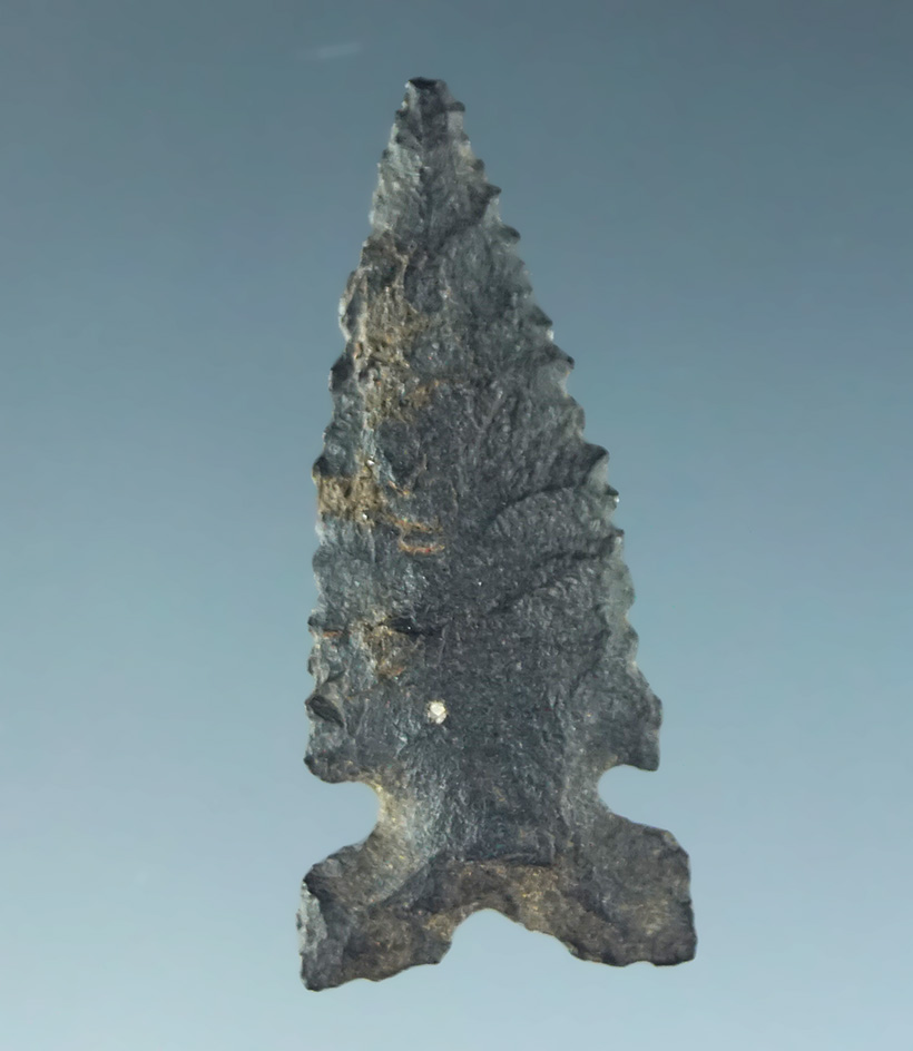 Very thin 1" Desert Sierra made from basalt. California.