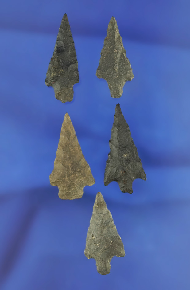 Set of five arrowheads that are nicely crafted from basalt, largest is 1 3/8". California.
