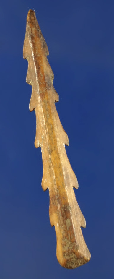 Nicely barbed 2 3/4" heavily patinated bone harpoon tip found in Alaska.