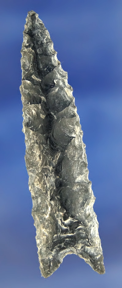 3 3/16" Obsidian Humboldt found in California.