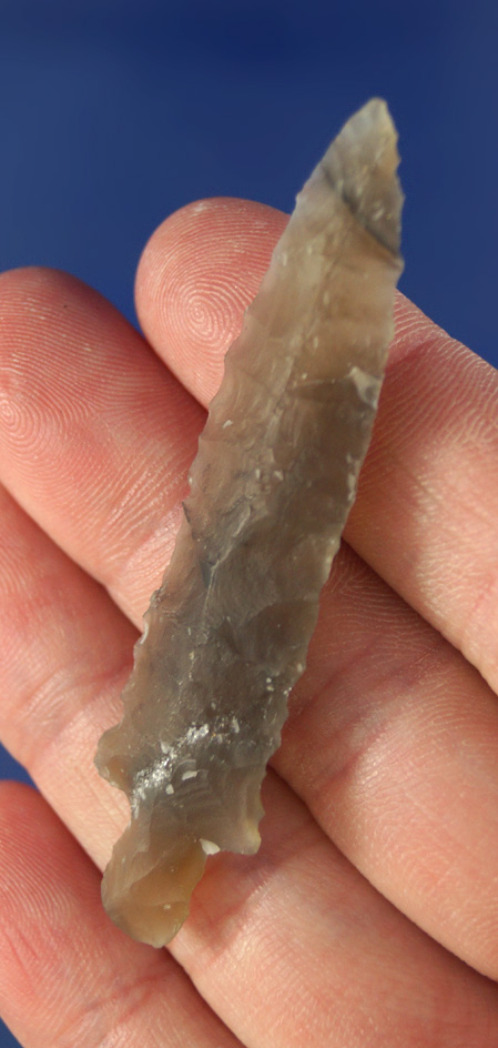 Rare and Nice! Exceptional translucent Chalcedony  Bear Point in perfect condition - Alaska.