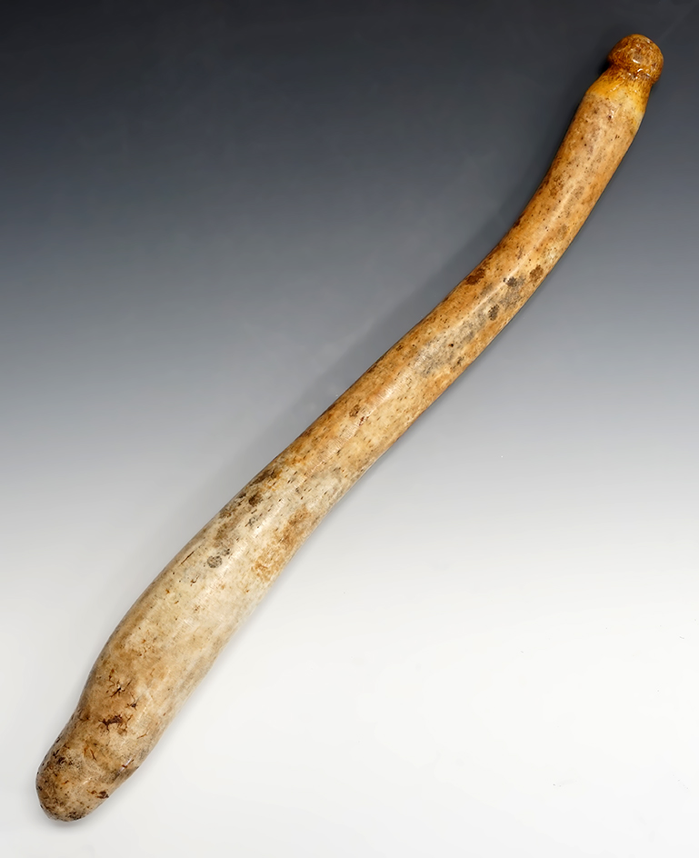 22 1/2" Inuit Seal hunting Club made from a fossiled ivory walrus oosik bone. Found in Alaska.