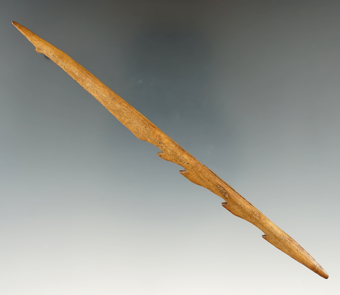 5 11/16" Polished Bone Bird Spear Foreshaft. Comes with a Stermer COA.