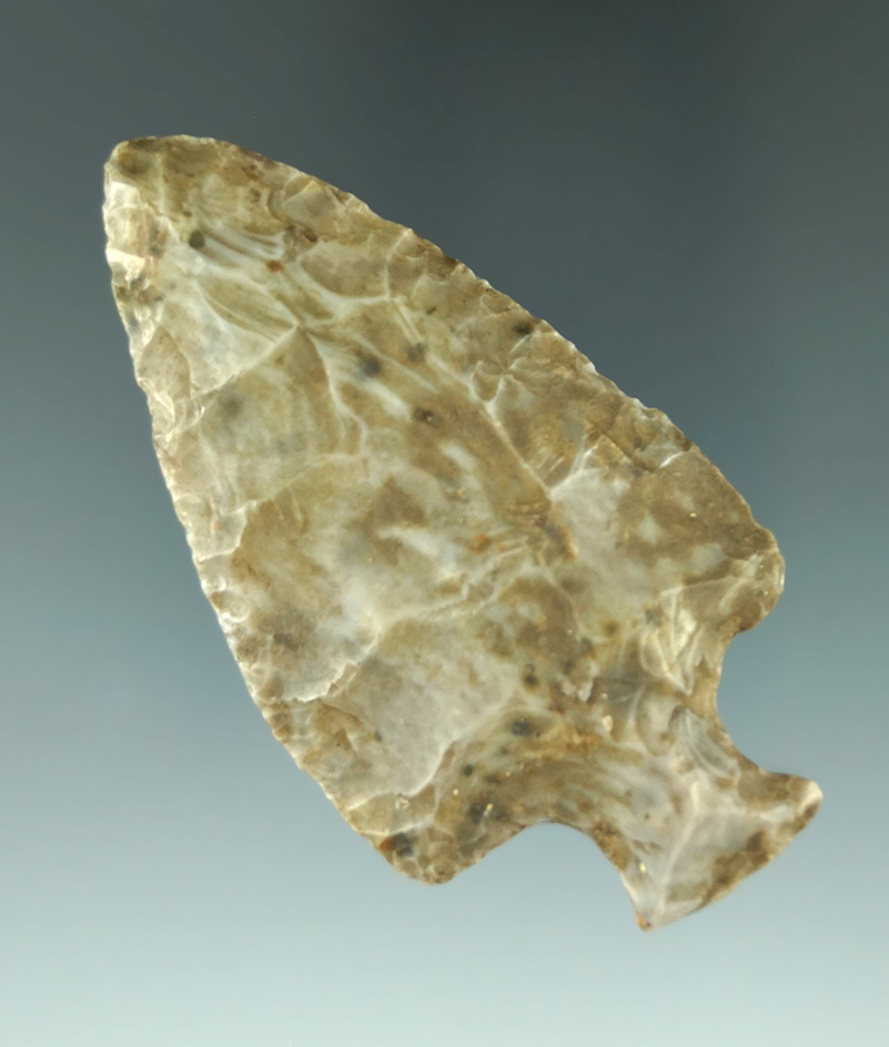 3" Tablerock found in St. Joseph Co., Michigan. Ex. Mike Drumm collection.  Bennett COA.