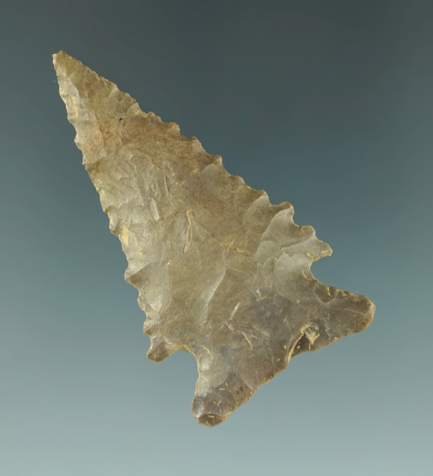 2 1/16" Pinetree point with nice edge serrations found in Tennessee made from Fort Payne.