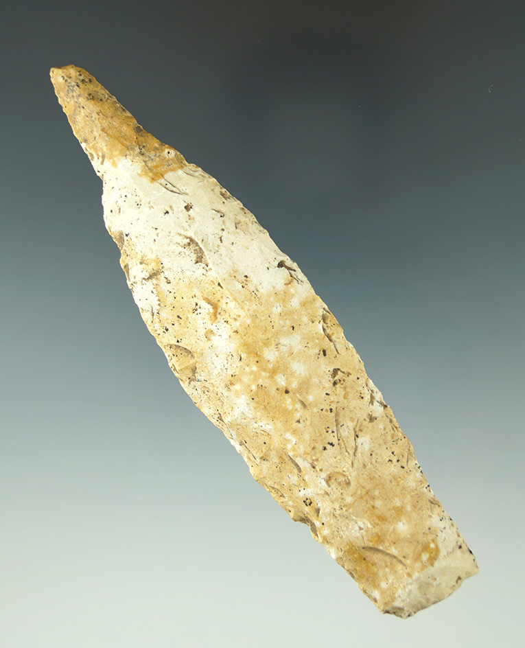 4 11/16" Sedalia with a drill tip found in Callaway Co., Missouri.