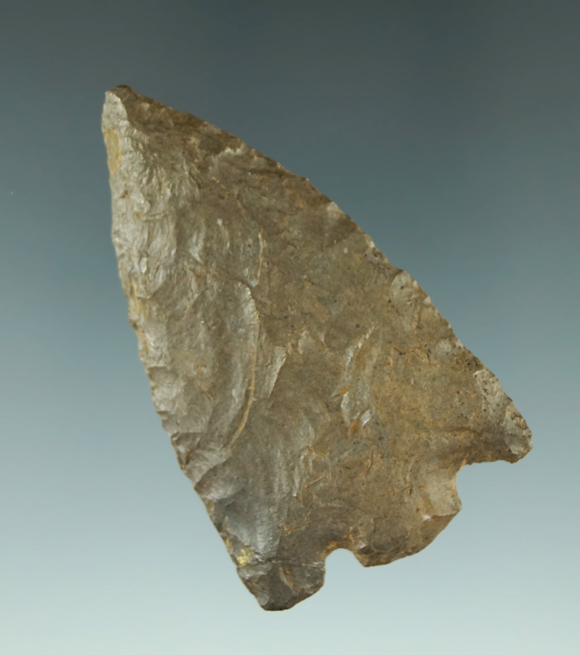 2 1/4" nicely flaked Fort Payne chert Eva found in Madison Co., Alabama - Dickey COA.