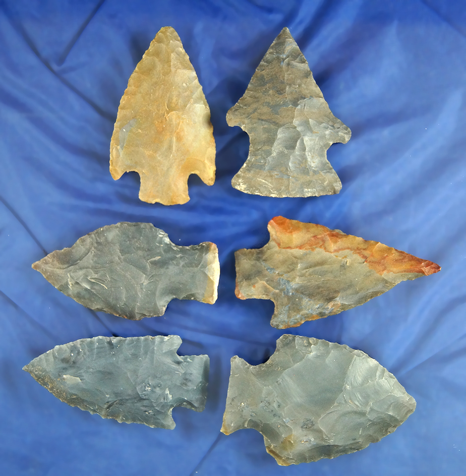 Set of six assorted Alabama Arrowheads in very nice condition, largest is 2 5/16".