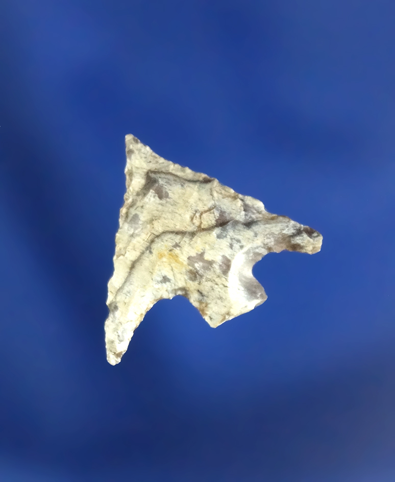 11/16" Columbia Plateau found near the Columbia River, Washington. Beautifully striped Flint.