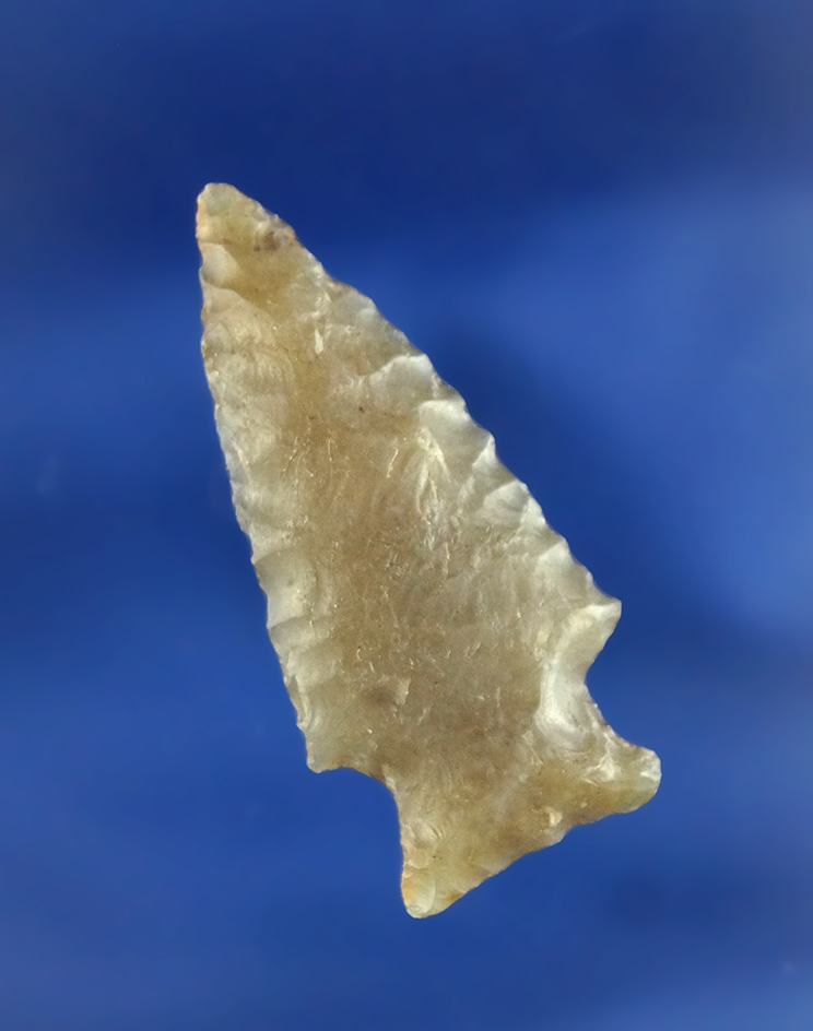 Excellent flaking on this 1 1/2" Arrowhead found in Washington.
