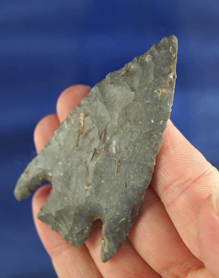 nicely styled 2 3/4" Basal Notch found in Texas (Some felt glued to back will need soaked off.)