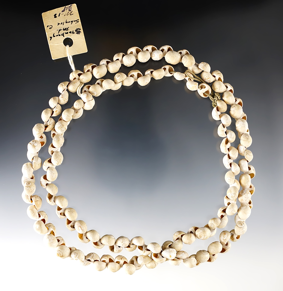 33" strand of Shell beads found in section 15 SW, SE, NW, Hickory Twp., Schuyler Co., Illinois. 