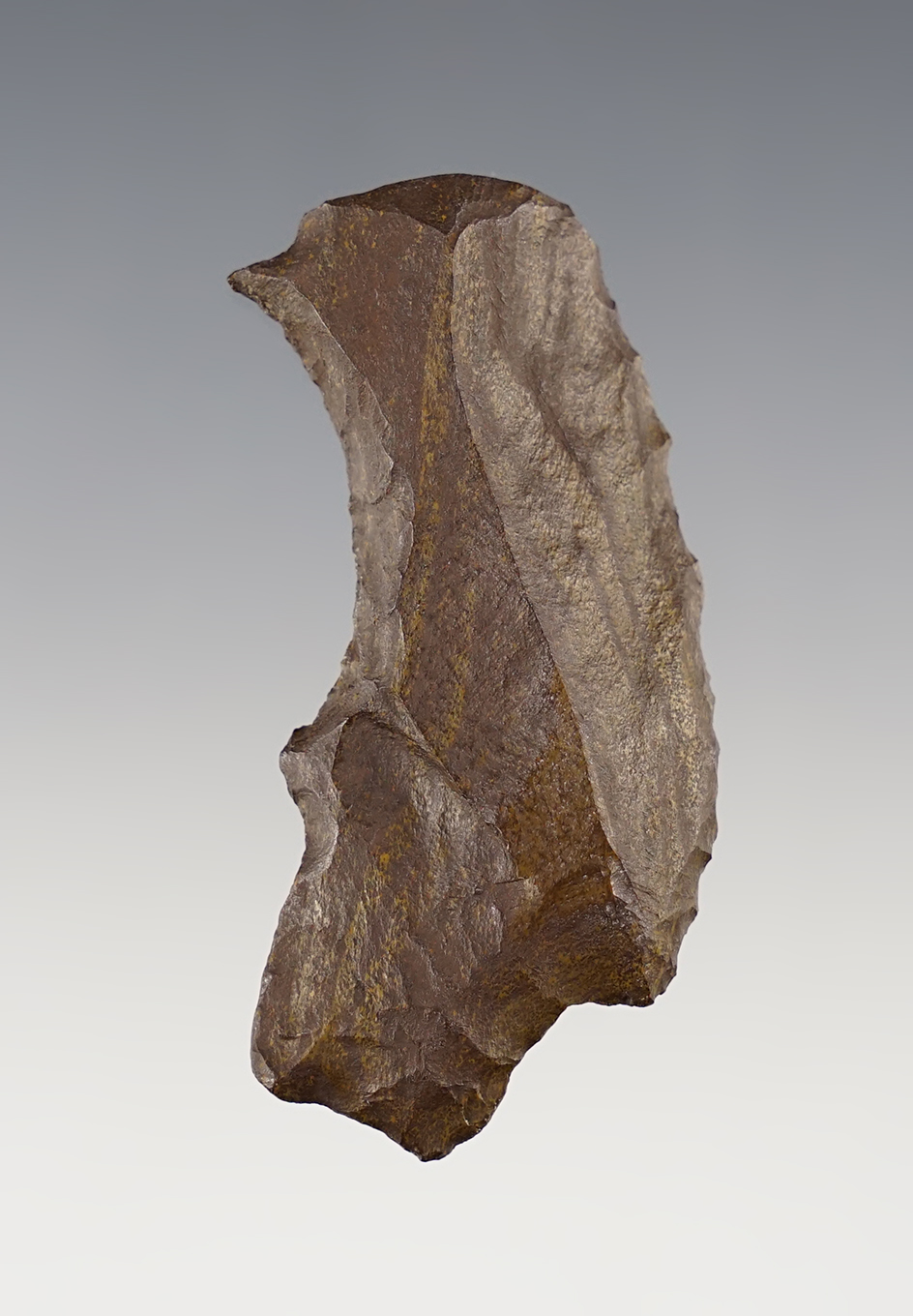 Rare! 2 3/8" very unique spoke shave with engraving spur -transitional Paleo artifact - Ohio.