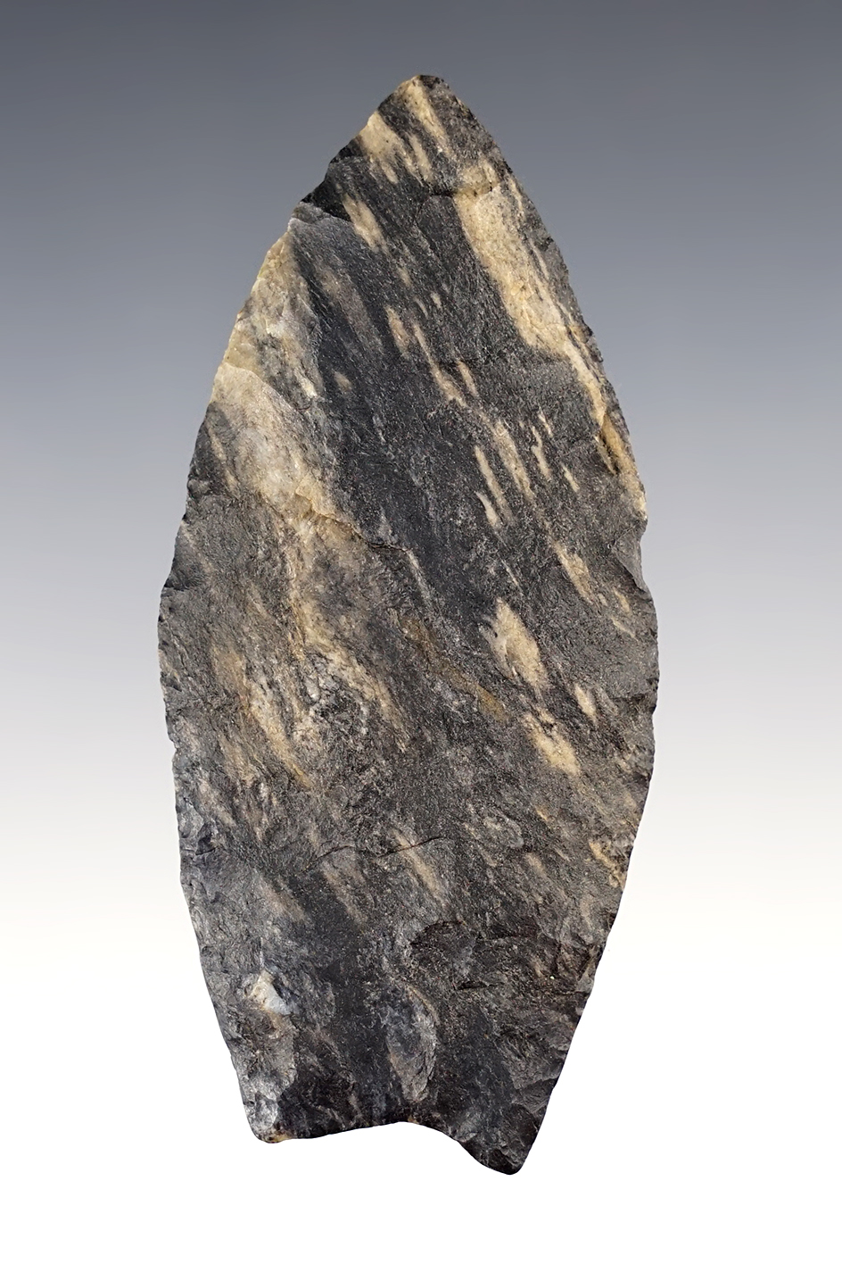 3 5/8" Paleo Fluted Crowfield found in Chautaqua Co., New York. Ex. Judge Claude. 2 COA's. 
