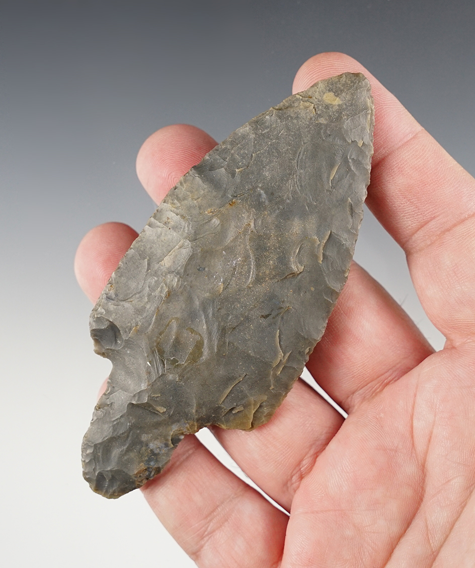 Nicely colored 4 3/16" Adena made from two-tone Hornstone. Found in eastern Indiana.