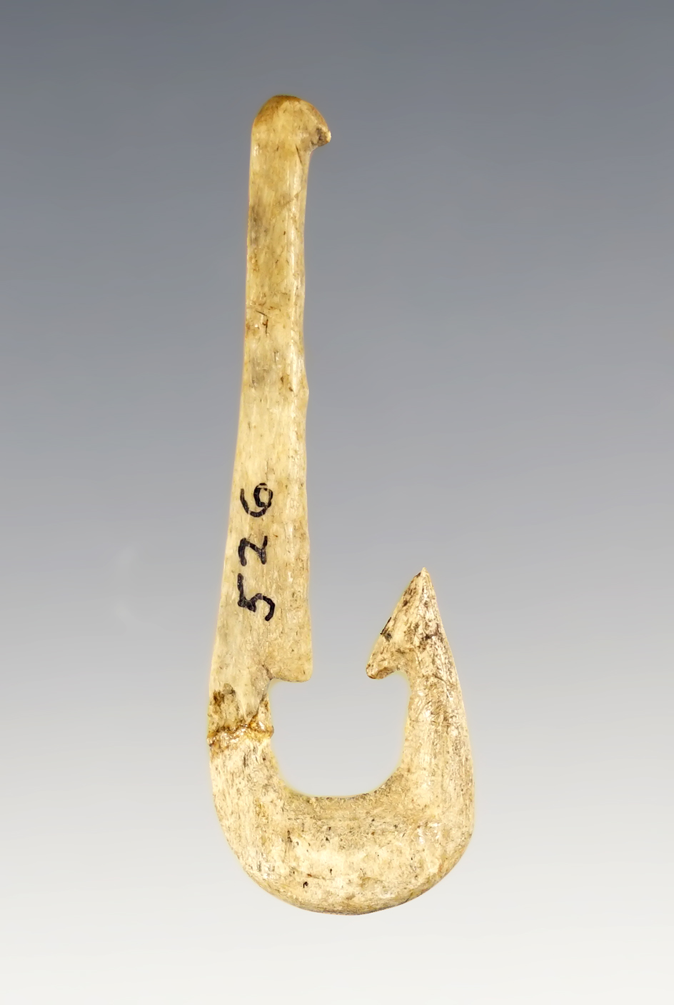 1 7/8" Bone Fish Hook found at the Powerhouse Site in Lima, New York. Broken/glued. 